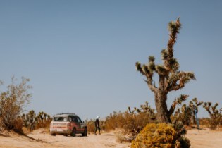 2021 Bronco Sport at 2020 Rebelle Rally